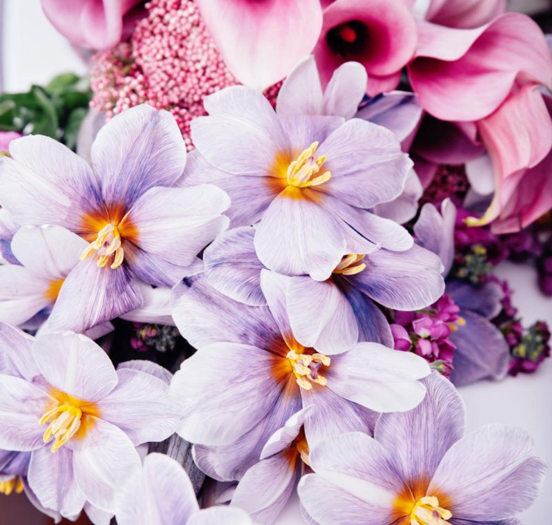fleurs-choisies.jpg