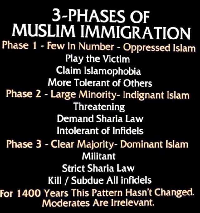 l-invasion-de-l-islam.jpg