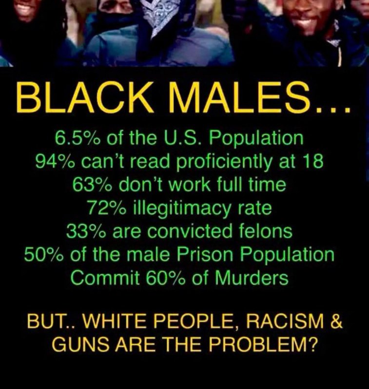 les-noirs-adultes-aux-etats-unis.jpg