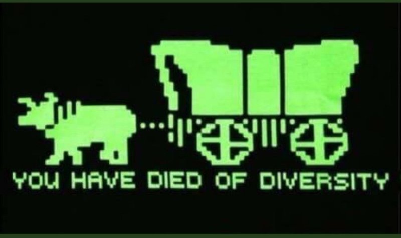 vous-etes-morts-de-la-diversite.jpg
