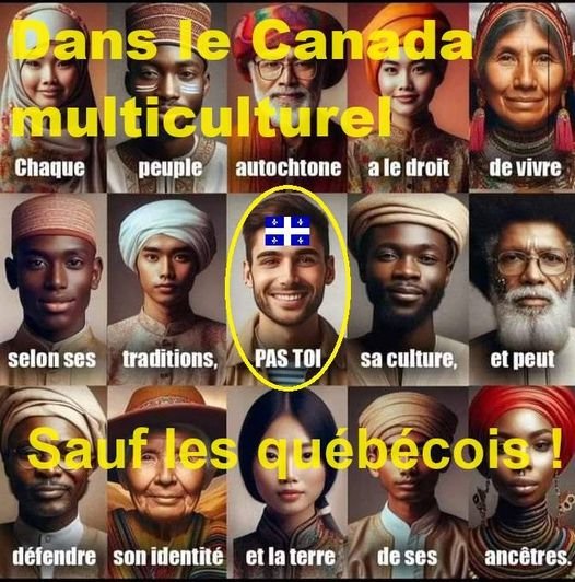 le-multiculturel-exclut-les-blancs.jpg