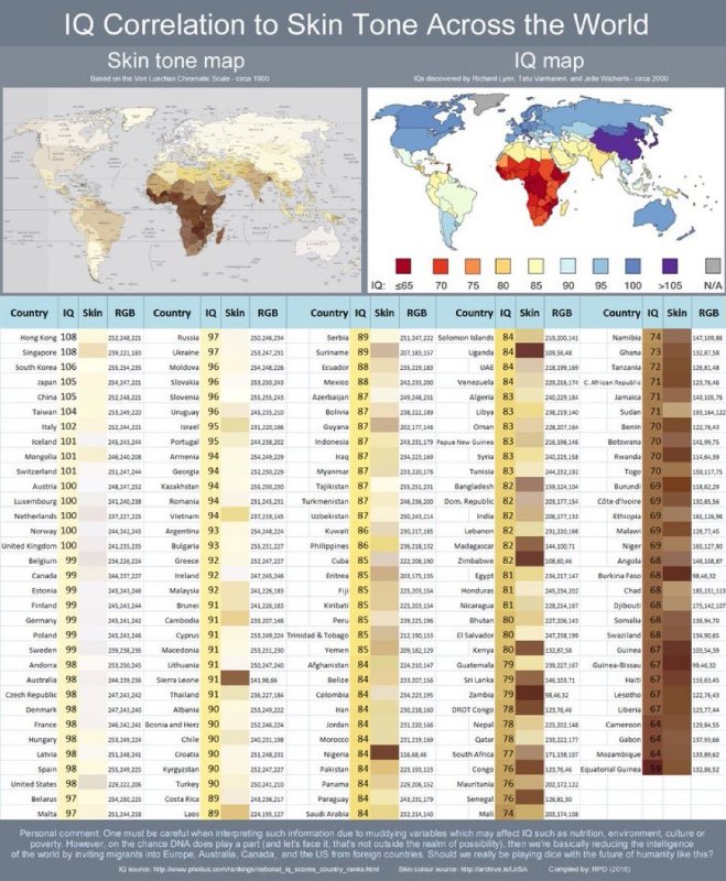 qi-par-rapport-a-la-couleur-de-la-peau-dans-le-monde.jpg