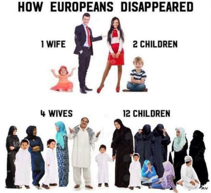 comment-les-occidentaux-disaraissent.jpg