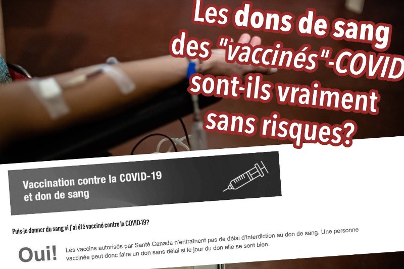 les-dons-de-sang-sont-ils-sans-risques.jpg