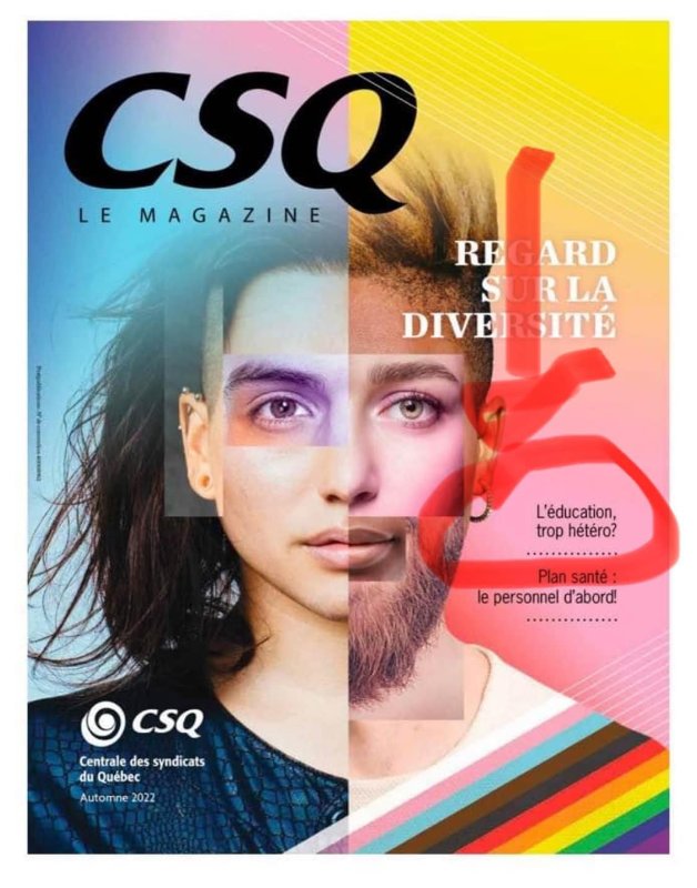 la-guerre-aux-heterosexuels-par-la-csq.jpg