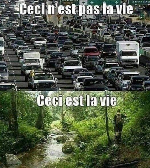 ce-qu-est-la-vie.jpg