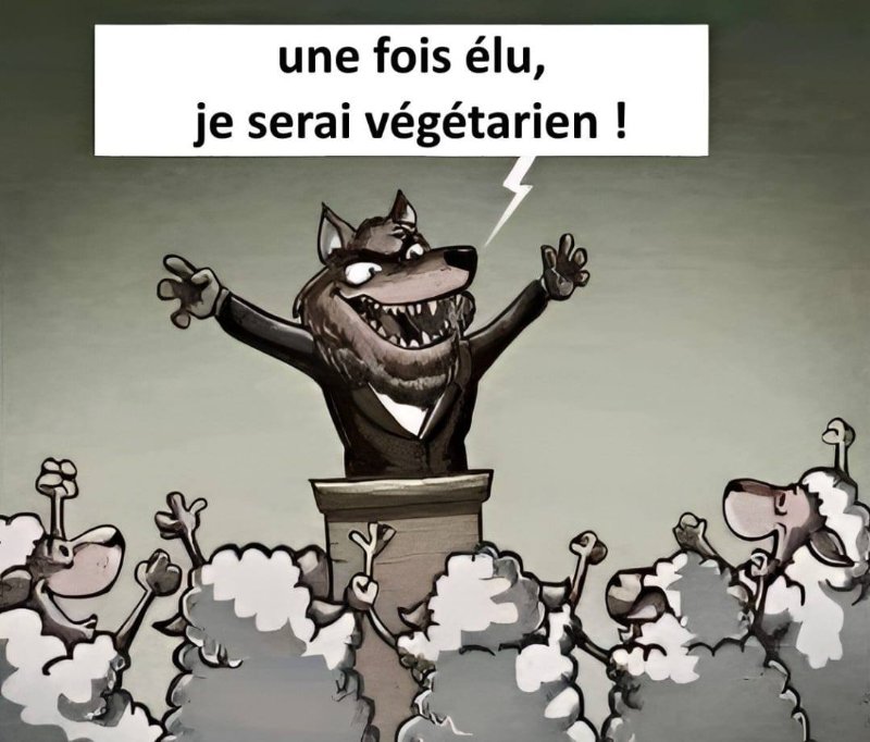 le-loup-vegetarien.jpg