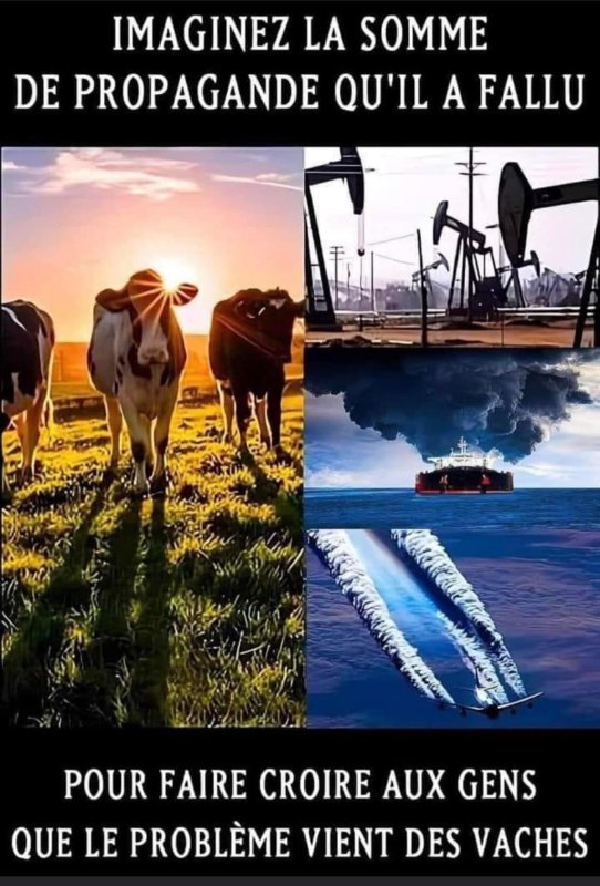 la-propagande-contre-les-vaches.jpg