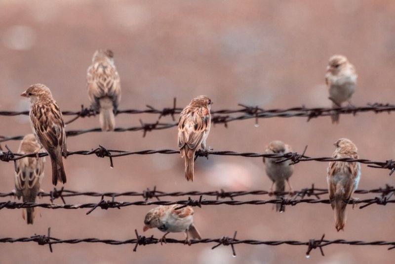 les-plateformes-militarisees-contre-nous.jpg