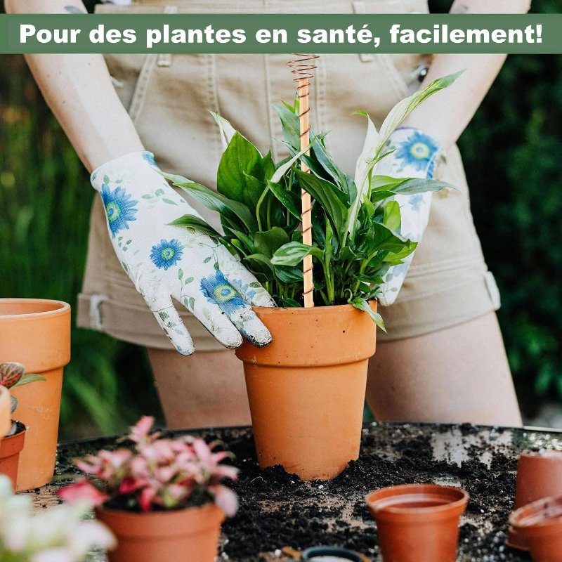 pour-des-plantes-en-sante-facilement-avec-l-electroculture.jpg
