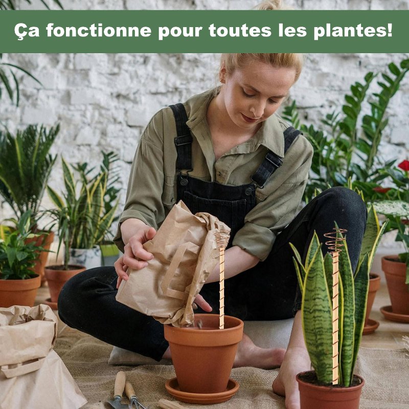 l-electroculture-fonctionne-pour-toutes-les-sortes-de-plantes.jpg