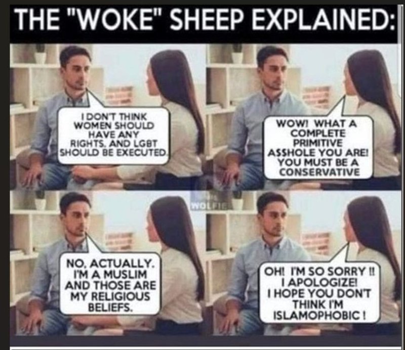 les-wokes-qui-se-soumettent-a-la-religion-islamique-pour-ne-pas-paraitre-islamophobe.jpg
