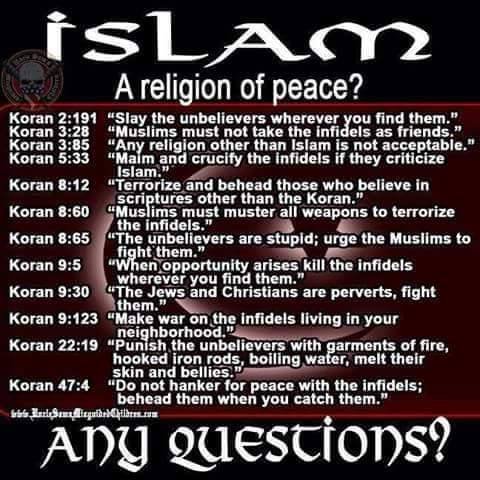 l-islam-n-est-pas-une-religion-de-paix.jpg