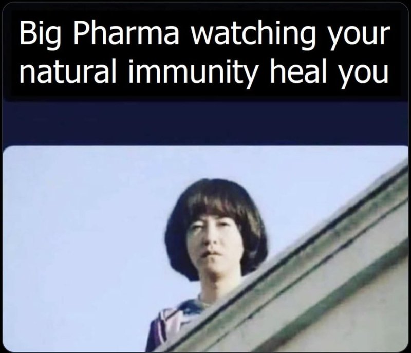 big-pharma-qui-regarde-notre-immunite-naturelle-nous-guerir-pendant-la-covid.jpg