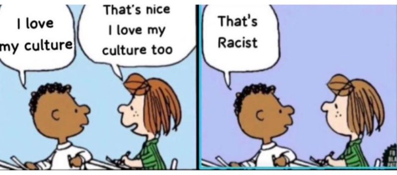 le-racisme-anti-blanc-ou-les-blancs-n-ont-pas-le-droit-d-aimer-leur-propre-culture.jpg