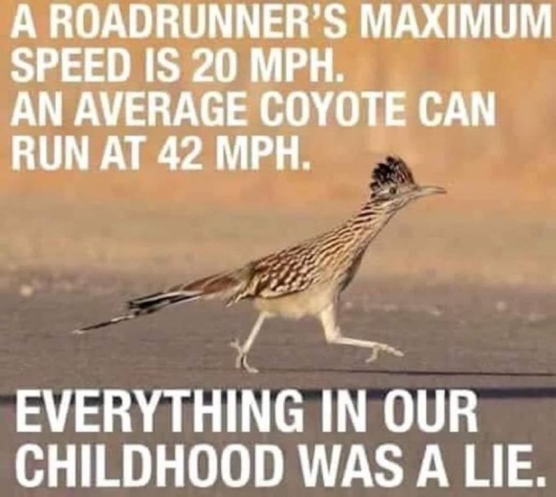 on-s-est-fait-mentir-a-propos-de-roadrunner.jpg