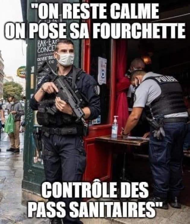 controle-des-passeports-sanitaires-en-france.jpg