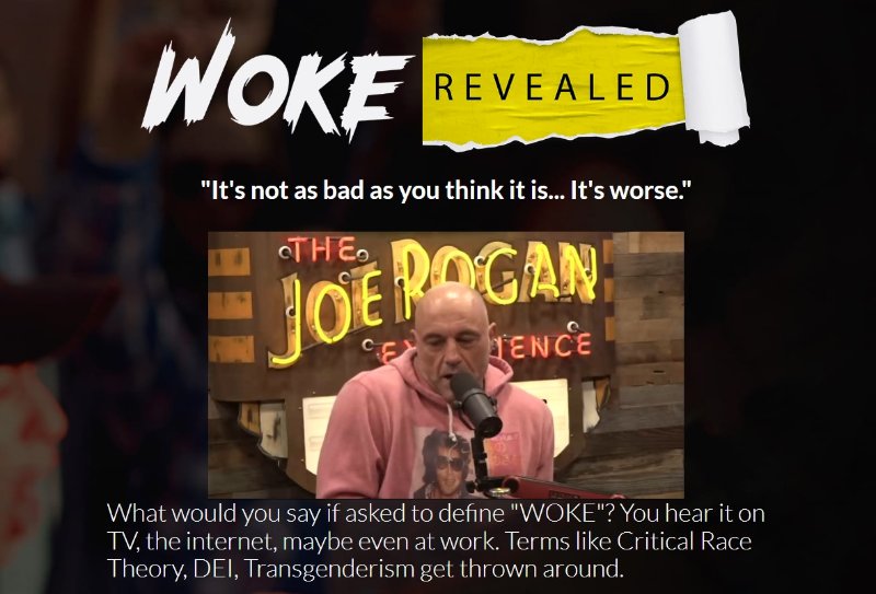 le-film-woke-revealed.jpg
