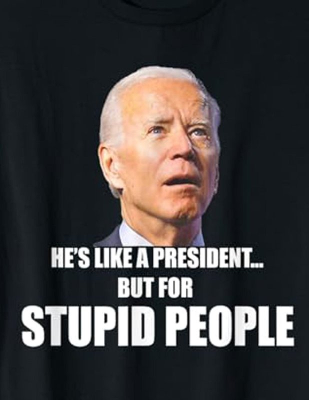 il-est-comme-un-president-mais-pour-les-gens-stupides.jpg
