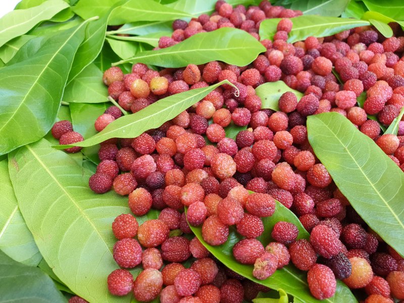 litchis-8.jpg