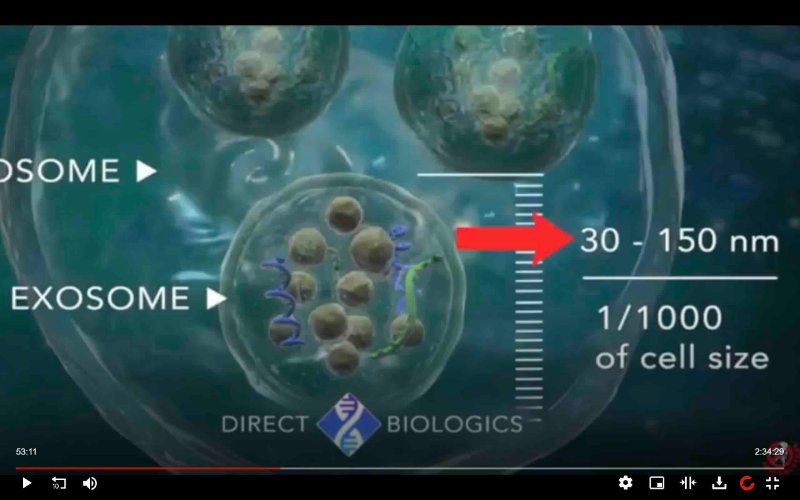 la-taille-des-exosomes.jpg