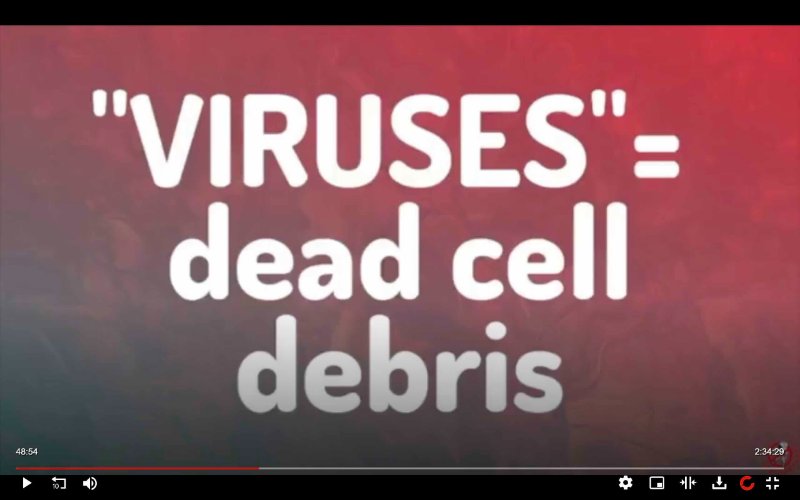 les-virus-sont-en-realite-des-debris-cellulaires.jpg