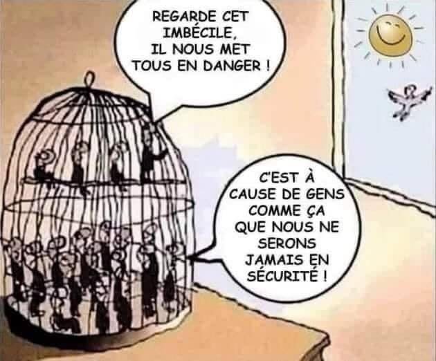 la-logique-toxique-des-vaccines.jpg