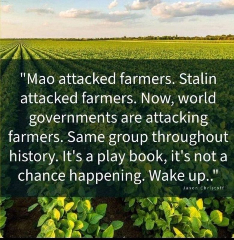 ce-sont-les-memes-qui-nous-attaquent.jpg