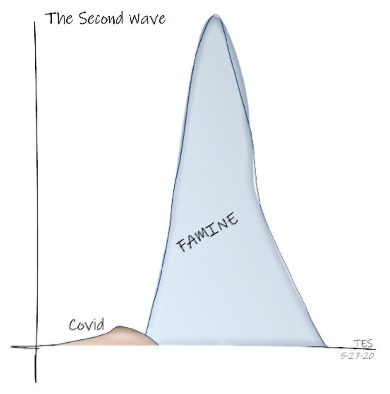 la-2e-vague-sera-terrible.jpg