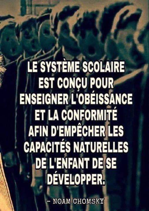 le-systeme-scolaire-tue-les-capacites-naturelles-des-enfants.jpg