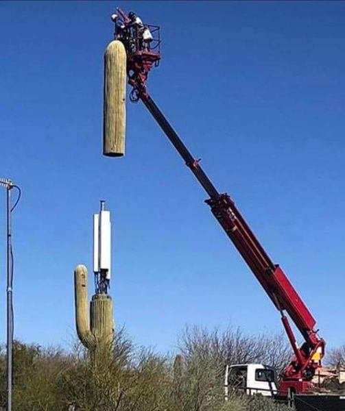 ils-cachent-leurs-antennes.jpg