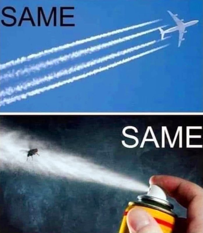 la-meme-chose.jpg