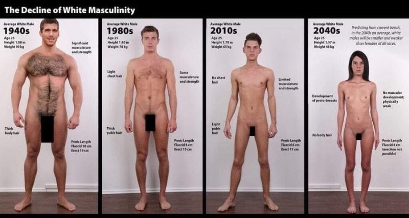 le-declin-de-la-masculinite-blanche.jpeg