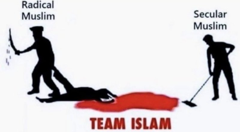 Source: https://x.com/Salwan_Momika1/status/1821287526092407016
