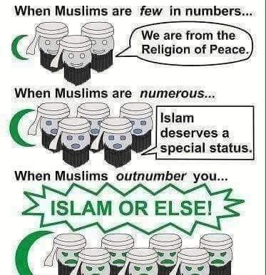 islam-a-geometrie-variable-selon-leur-dominance.jpg