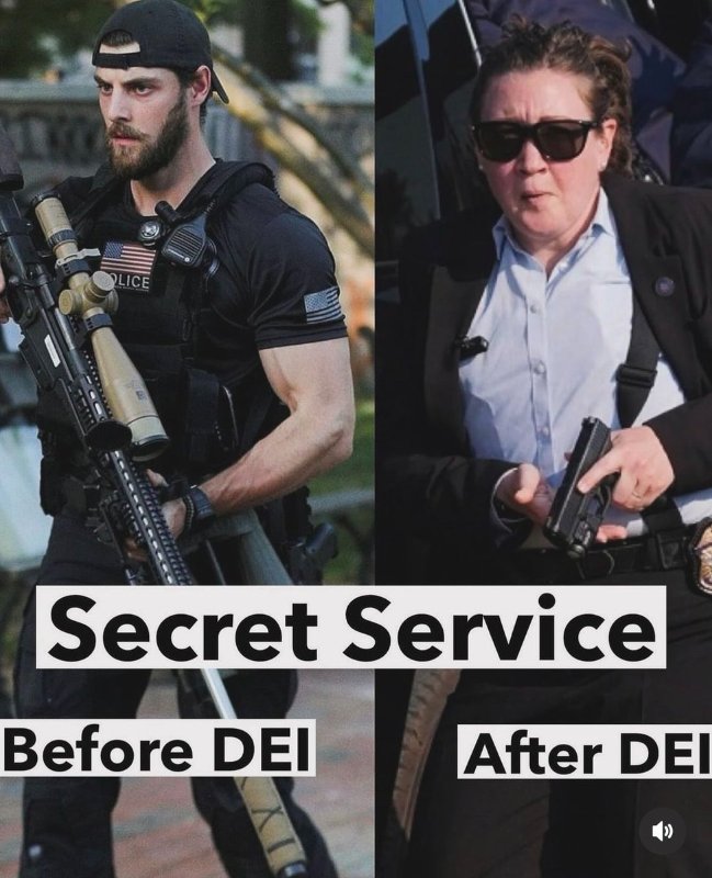 les-services-secrets-avant-et-apres-la-diversite.jpg