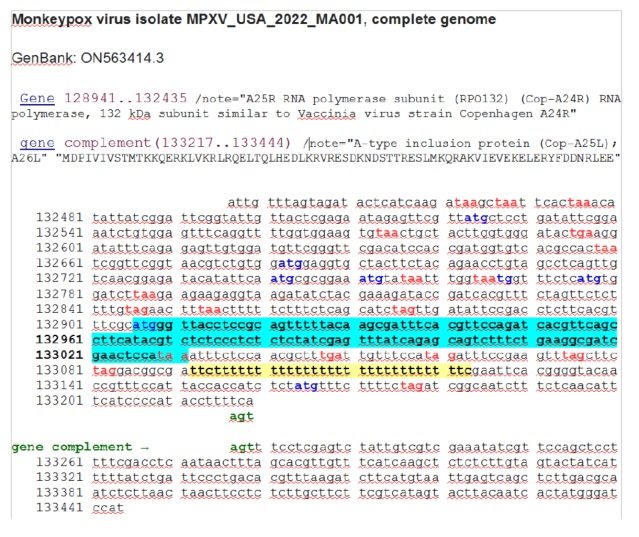 isolation-du-viruws-monkeypox.jpg
