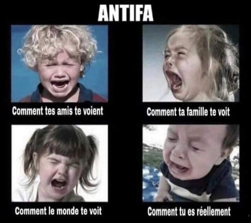 les-antifas-sont-des-braillards-qui-ne-creent-rien-de-bon.jpg