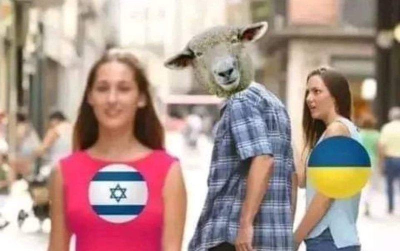 les-moutons-delaissent-l-ukraine-pour-s-interesser-a-israel.jpg