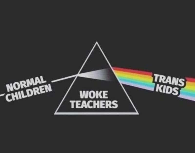 les-profes-wokes-manufacturent-les-enfants-trans.jpg