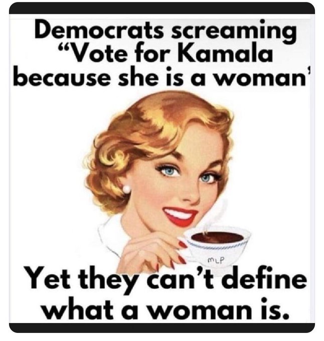 les-democrates-ne-peuvent-meme-pas-definir-ce-qu-est-une-femme.jpg