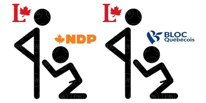 la-realite-du-npd-et-du-bloc-avec-les-liberaux.jpg
