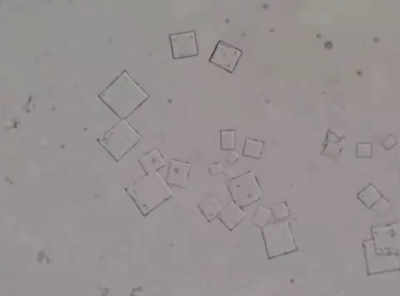 collection-de-nanostructures-dans-un-anesthesian-dentaire.jpg