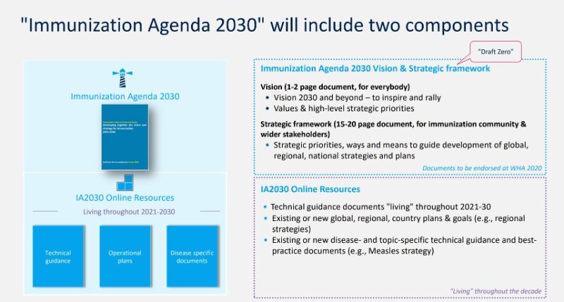 l-agenda-de-vaccination-2030-et-ses-deux-composants.JPG