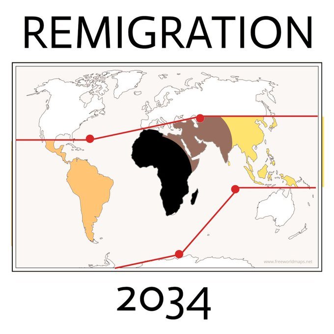 il-faut-remigrer-les-illegaux.jpg