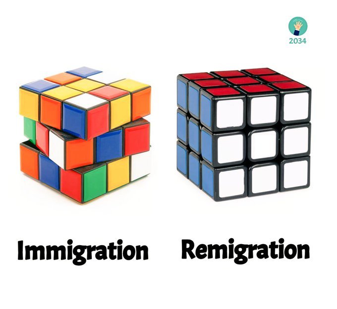 l-immigration-versus-la-remigration.jpg