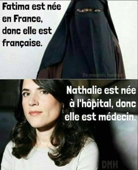ls-islamistes-ne-sont-pas-des-occidentaux.jpg