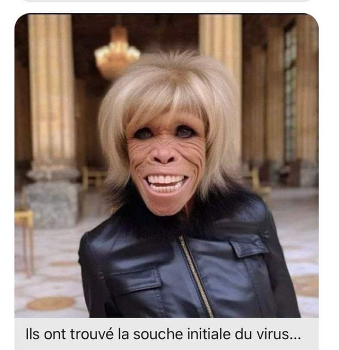 trogneux-entant-que-source-du-virus-macronien.jpg
