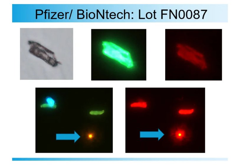 le-lot-fn087-de-pfizer-quelle-horreur-avec-la-fluorescence-du-graphene.jpg