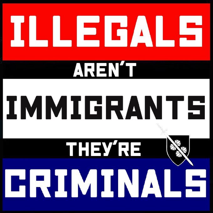 les-illegaux-ne-sont-pas-des-immigrants-mais-des-criminels.jpg